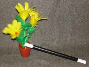 Blumen aus dem Zauberstab